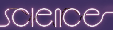 Brighton Science Festival Logo Logo
